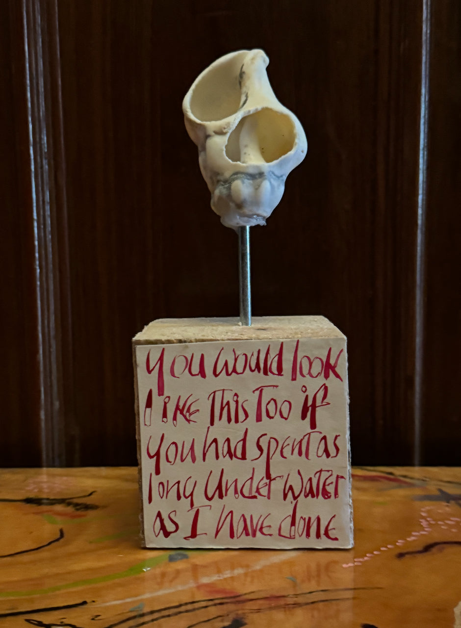 Anthony Haden-Guest's You Would Look Like This Too Sculpture