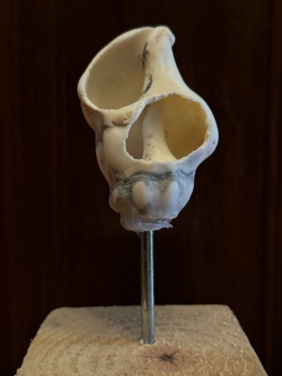 Anthony Haden-Guest's You Would Look Like This Too Sculpture